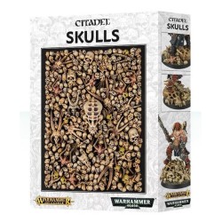 GW CITADEL SKULLS