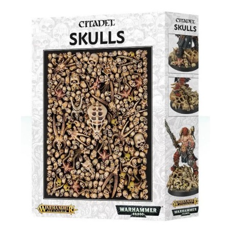 GW CITADEL SKULLS