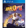 SHAQ FU - A LEGEND REBORN PS4