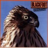 BLACKFOOT - MARAUDER