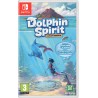 DOLPHIN SPIRIT - OCEAN MISSION SW